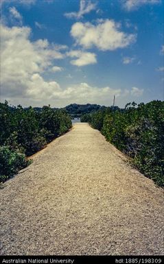 New Caledonia - Jean-Marie Tijbaou Cultural Centre - gardens