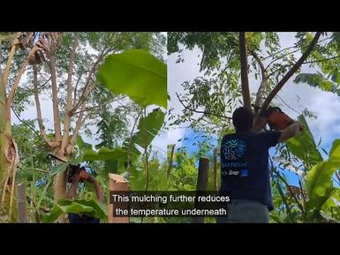 Tutorial on Agroforestry #4: Enhancing water resource management through agroforestry