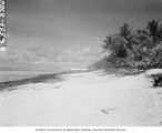 Namu Island beach, 1947