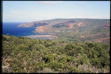 Coastal shrubland