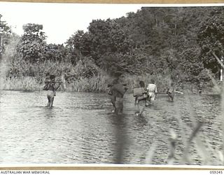 WIDERU, NEW GUINEA, 1943-10-21. NX155085 CAPTAIN R.G. ORMSBY OF THE AUSTRALIAN AND NEW GUINEA ADMINISTRATIVE UNIT AND HIS PARTY CROSSING A SHALLOW RIVER BETWEEN WIDERU AND AYR
