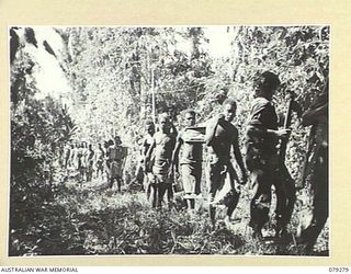 KAMANDRAN, NEW BRITAIN. 1945-02-19. AUSTRALIAN NEW GUINEA ADMINISTRATIVE UNIT NATIVES CARRYING AMMUNITION AND STORES UP TO THE AUSTRALIAN TROOPS IN THE FORWARD AREAS