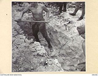 MUSCHU ISLAND, NEW GUINEA, 1945-09-11. FOLLOWING THE SURRENDER JAPANESE SOLDIERS ARE NOW WORKING ON THE CONSTRUCTION OF A HOSPITAL TO ENABLE SICK JAPANESE TO RECEIVE MEDICAL ATTENTION. SHOWN ..