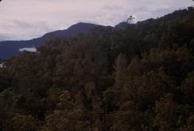 [Landscape of a forested mountainside at Sarawaket Range, Papua New Guinea]