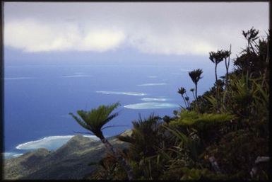 Reefs off Tao, 1390 m