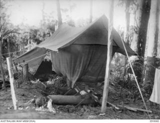 WEWAK AREA, NEW GUINEA, 1945-06-11. THE TENT OF MR. F. SIMPSON, ABC CORRESPONDENT AT BIG ROAD CAMP. 2/8 INFANTRY BATTALION IS ACTIVE IN THIS AREA