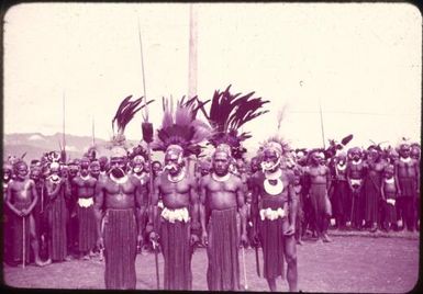 Tengerap Clan waiting for pay for work on the airstrip, four men in the foreground : Minj Station, Wahgi Valley, Papua New Guinea, 1954 / Terence and Margaret Spencer