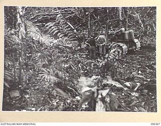 BOUGAINVILLE. 1945-04-06. A BULLDOZER, WORKING WITH 25 INFANTRY BATTALION TROOPS, DIGGING A COMMUNAL GRAVE IN A GULLY RUNNING WEST FROM SLATER'S KNOLL, TO BURY JAPANESE TROOPS KILLED IN THEIR ..