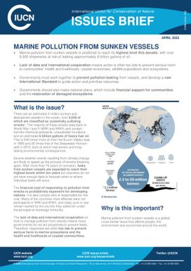 IUCN - Marine Pollution from Sunken Vessels - Issue Brief, April 2023