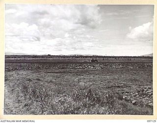 NADZAB, NEW GUINEA. 1945-09-14. PANORAMIC VIEW OF THE FARM OPERATED BY 8 INDEPENDENT FARM PLATOON WITH THE ASSISTANCE OF NATIVE LABOUR. (JOINS NO. 97130 & 97131.)