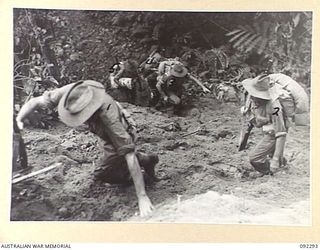 BOUGAINVILLE. 1945-05-17. ENGINEERS OF 15 FIELD COMPANY, ROYAL AUSTRALIAN ENGINEERS, CLIMBING THE ESCARPMENT SOUTH OF THE HONGORAI RIVER. THEY ARE FOLLOWING UP THE INFANTRY ADVANCE BY CONSTRUCTING ..