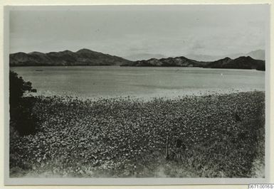 ["fotografi, photograph"]