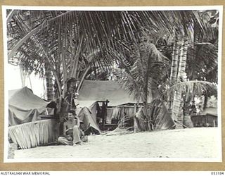 MIRAVASI (MINVASI?), NEW GUINEA. 1943-06-29. TROOPS' TENTS OF 2/4TH AUSTRALIAN FIELD SQUADRON, ROYAL AUSTRALIAN ENGINEERS, PITCHED UNDER PALM TREES SO AS TO PREVENT DETECTION FROM THE AIR. SEATED ..