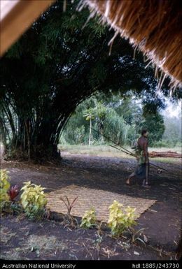 Man with spears