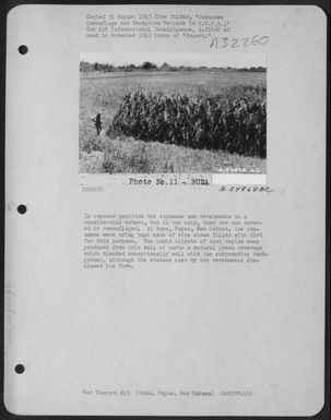 In exposed position the Japanese use revetments to a considerable extent, but in the main, they are not covered or camouflaged. At Buna, Papua, New Guinea, the Japanese were using bags made of rice straw filled with dirt for this purpose. The humid (U.S. Air Force Number A24868AC)