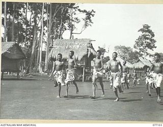 BUTIBUM, NEW GUINEA. 1944-11-27. EXCITED NATIVE CHILDREN RACING TO MEET VISITING MILITARY HISTORY SECTION PHOTOGRAPHERS WHO ARE VISITING BUTIBUM VILLAGE TO INSPECT THE PROGRESS MADE BY THE ..