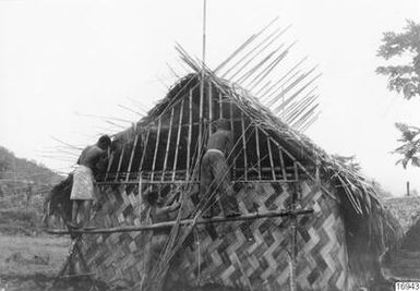 ["husbygge, män, hus, fotografi, photograph"]