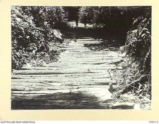 BOUGAINVILLE ISLAND. 1945-02-14. A CORDUROY SECTION OF THE JABA SOUTH ROAD BUILT BY TROOPS OF THE 61ST INFANTRY BATTALION