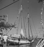 Boat at Moorea