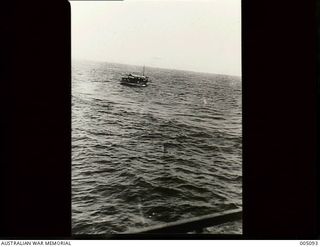 Survivors, passengers and crew from the British vessels Rangitane, Komata, Triaster, Triadic, Triona and Holmwood and the Norwegian vessel Vinni, were rescued by the Australian steamer Nellore from ..