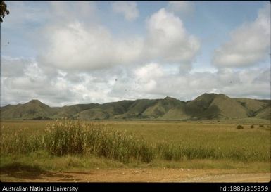 Waghi Valley swamps