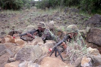 Members of the 45th Support Group fire their M-16 rifles from the prone position behind some rocks during the 21st Infantry Division's annual Army training and evaluation program and field training exercise