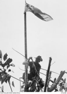 Sergeant (Sgt) Thomas Currie 'Diver' Derrick DCM, of Adelaide, SA, who led a South Australian Unit in a successful attack against the Japanese held village of Sattelberg, hoists the Australian ..