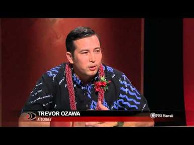 Election 2014: Honolulu City Council Districts 4 and 6 | Insights on PBS Hawai'i