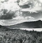 A New Caledonian landscape