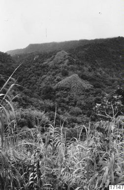 ["landskap, skog, berg, fotografi, photograph"]