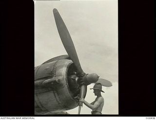 VIVIGANI, GOODENOUGH ISLAND, PAPUA. 1943-12-26. LEADING AIRCRAFTMAN A. L. KAYE OF GEELONG, VIC, AND NO. 30 (BEAUFIGHTER) SQUADRON RAAF, WIPING OIL FROM THE PROPELLER BLADES OF A BEAUFIGHTER BOMBER ..