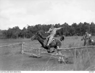 SOPUTA, NEW GUINEA. 1943-10-09. "PADRE BILL" WITH CAPTAIN HOUGHTON UP CRASHES THROUGH THE FIRST HURDLE IN THE DOBODURA HURDLE RACE TO GO ON TO WIN THE EVENT AT THE RACE MEETING AND GYMKHANA ..