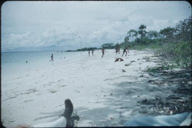 Beaches near Port Moresby, children are playing : Papua New Guinea, 1953 / Terence and Margaret Spencer