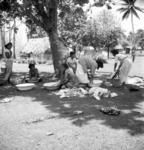 Saturday washday. 'Ailini's family by Vai'uli's well.