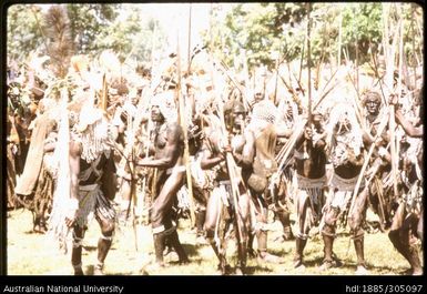 Goroka Show