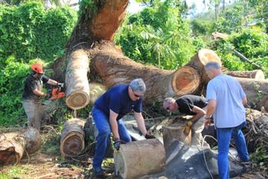 When Typhoon Soudelor hit Saipan in August, it affected more than just its human residents--the Saipan Zoo was also heavily impacted. None of the animals were hurt, but the facilities were damaged, and because the zoo is a private, for-profit organization, it was not eligible for FEMA assistance. Forced to close the zoo for safety reasons, owner Frank Aldan set up a GoFundMe account on Facebook to seek additional funds to make the necessary repairs. Through this effort, several of our team members found out about Frank's dilemma and volunteered their time to help him reopen the zoo. Since mid-August, FEMA volunteers have sent their Saturdays clearing debris, cutting trees and providing food to help the zoo recover. One of the largest trees on the island was on the zoo's property, and the typhoon blew it over. The tree was so big that volunteers from our staff spent over four weeks cutting it into manageable pieces.