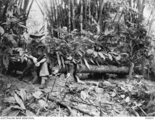 GOODVIEW, NEW GUINEA, 1943-08-10. QX29732 PRIVATE J. A. COLLEDGE OUTSIDE HIS PILLBOX IN THE "D" COMPANY LINES, 2/6TH BATTALION