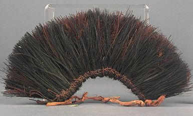 Head adornment with cassowary feathers