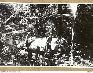 FINSCHHAFEN AREA, NEW GUINEA, 1943-10-28. TROOPS OF THE 2/2ND AUSTRALIAN MACHINE GUN BATTALION REPAIRING A SALVAGED BOAT, USING A CANVAS SKIN, WHICH THEY INTEND TO USE FOR FISHING TRIPS IN ORDER TO ..
