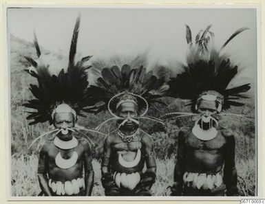 ["ceremoni, fotografi, photograph"]