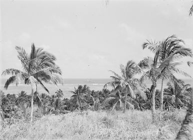 [Pacific Island landscape]