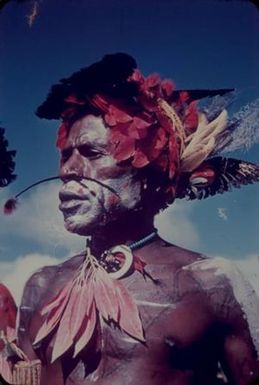 [Cultural activity in Saruwaged Range, Papua New Guinea]