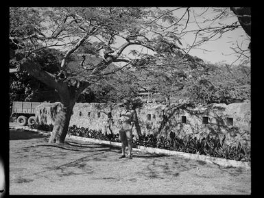 Old wall, Isle of Nou, New Caledonia