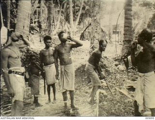 Survivors, passengers and crew from the British vessels Rangitane, Komata, Triaster, Triadic, Triona and Holmwood and the Norwegian vessel Vinni, were rescued from the small Island of Emirau, in ..