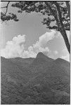 Bismarck Range mountains, old garden clearings visible