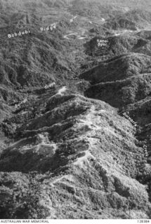 NEW GUINEA, 1943. LOOKING NORTH ALONG KOMIATUM RIDGE TO THE FRANCISCO RIVER. BOBDUBI RIDGE IN BACKGROUND. (RAAF)