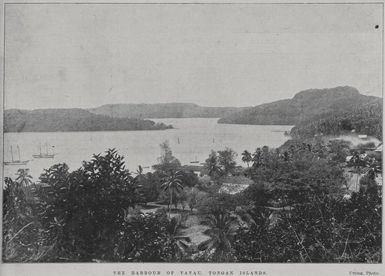 The harbour of Vavau, Tongan Islands