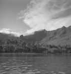 Scenery at Moorea