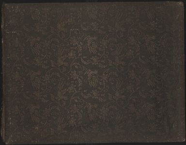 Photograph album of Japan, China, and the Pacific, 1900