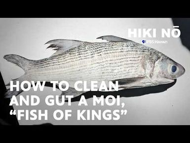 How to Clean and Gut Moi, the Hawaiian "Fish of Kings" | HIKI NŌ on PBS Hawaiʻi